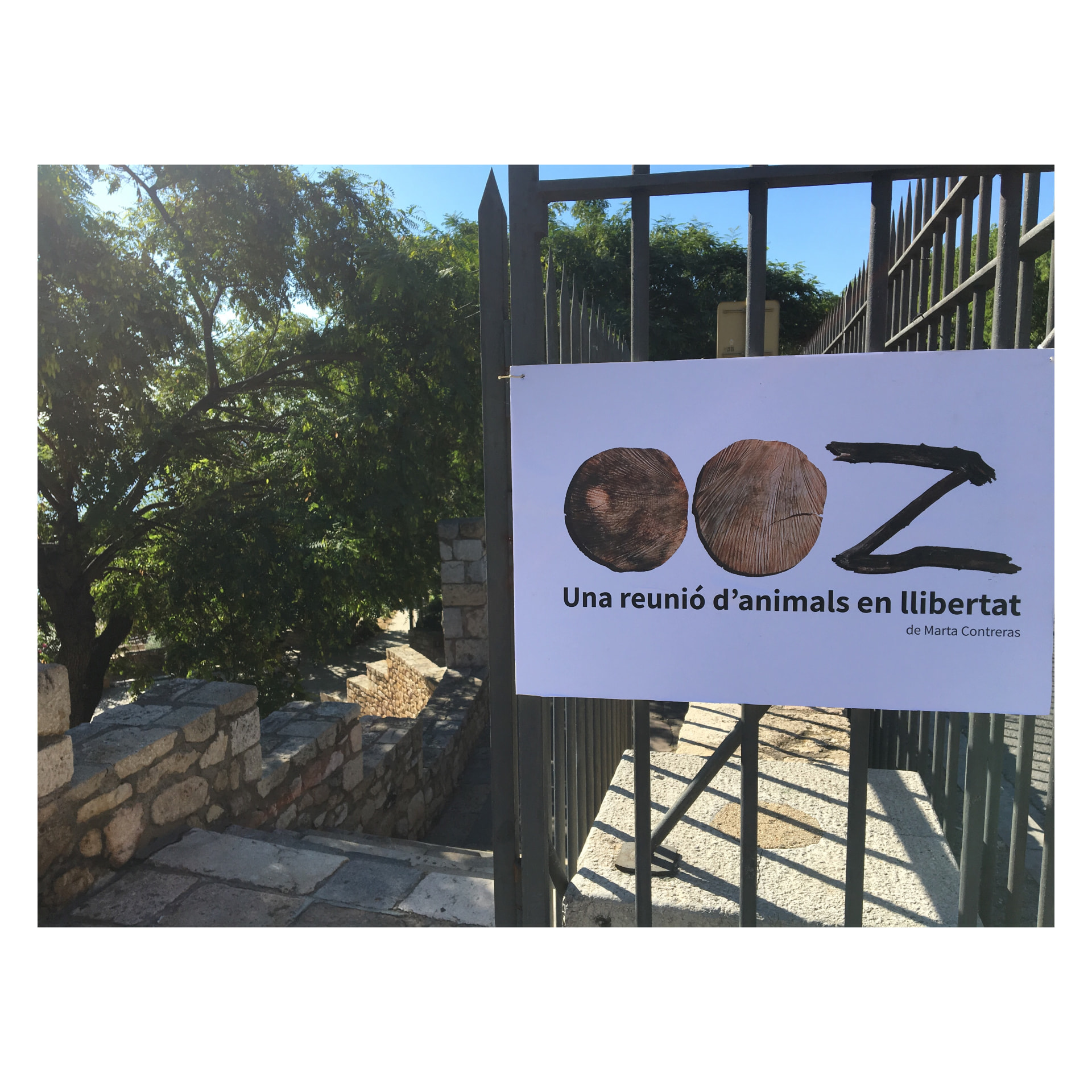Cartell de l'exposició OOZ, una reunió d'animals en llibertat, de Marta Contreras