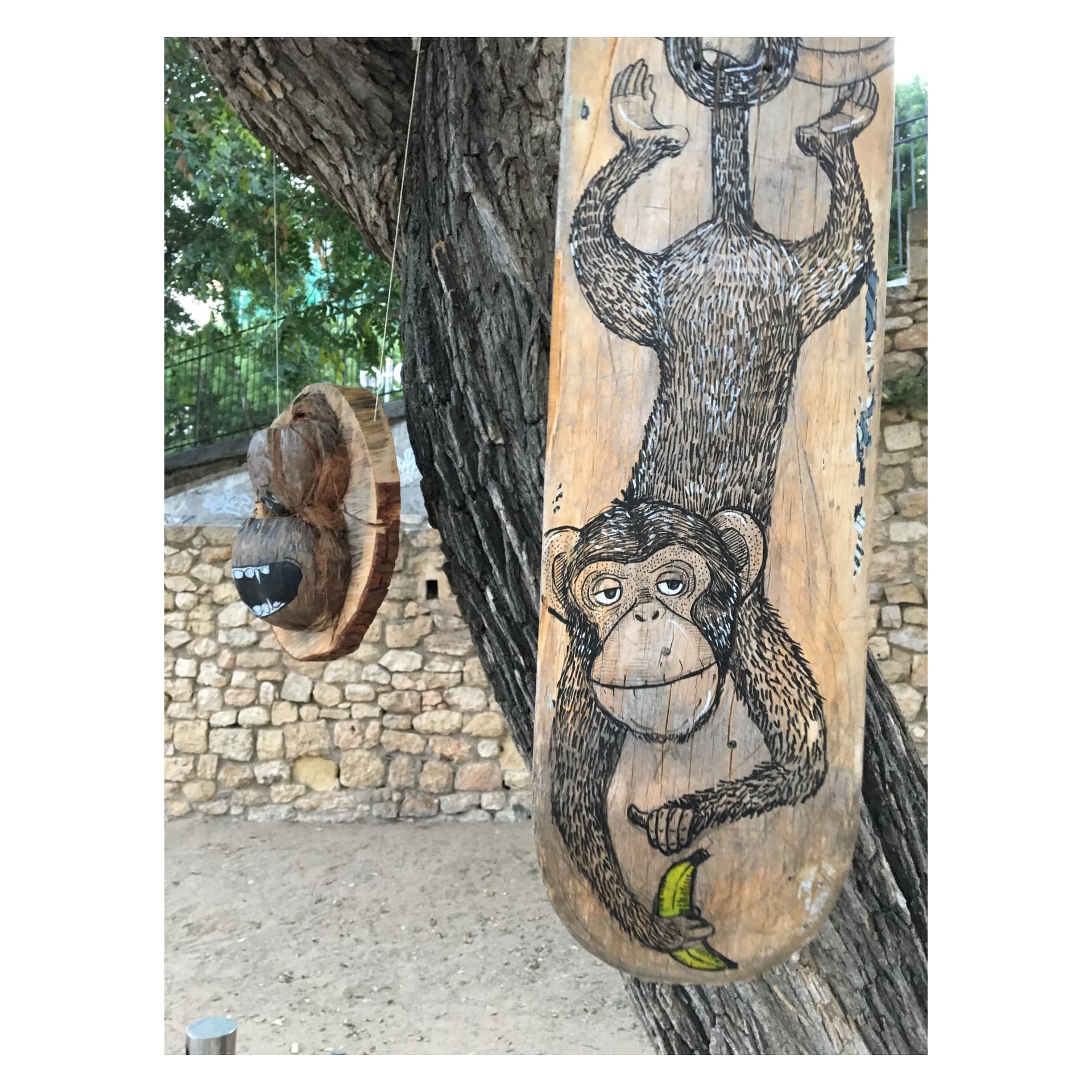 Simi dibuixat sobre un monopatí de fusta penjat d'un arbre