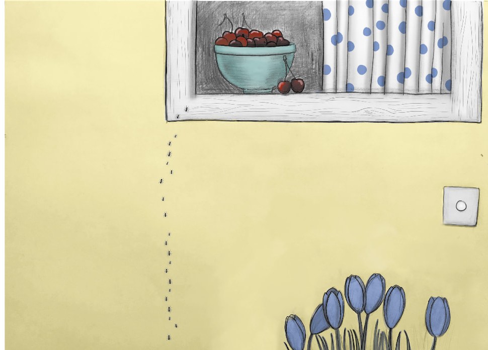 Formigues a la Cuina — il·lustració 1