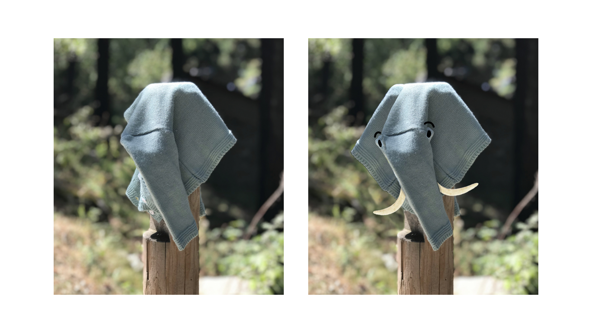 Una manta que es converteix en un elefant