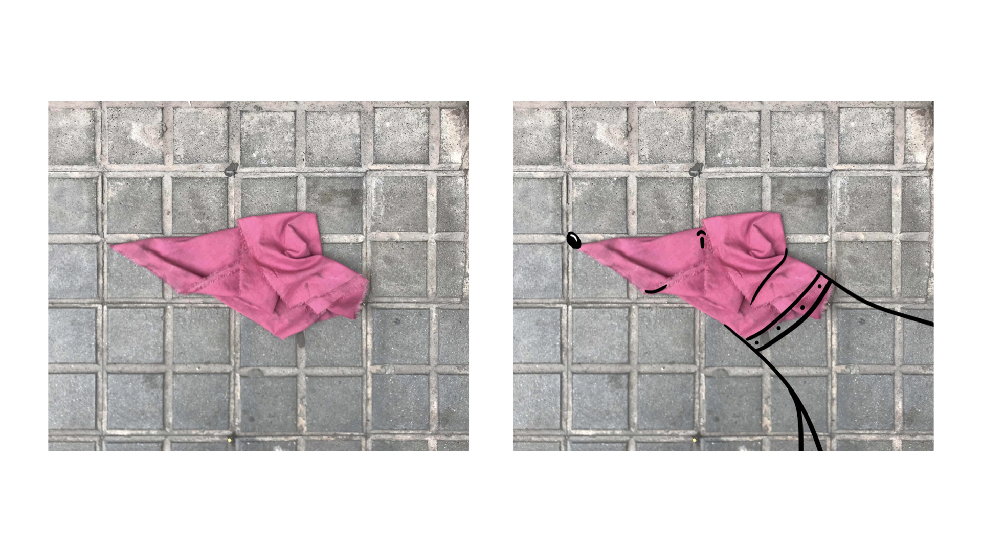 Un drap rosa que es converteix en un gos